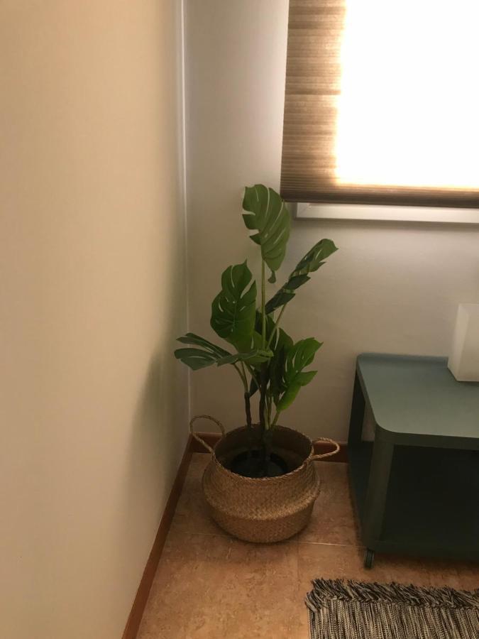 Apartamento Recien Reformado Con Vistas Al Rio Balaguer Luaran gambar